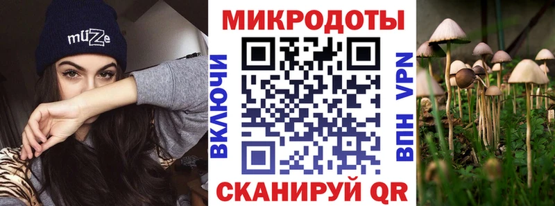 закладки  Ковылкино  Псилоцибиновые грибы Psilocybine cubensis 